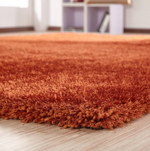 Chubby Rust Area Rug